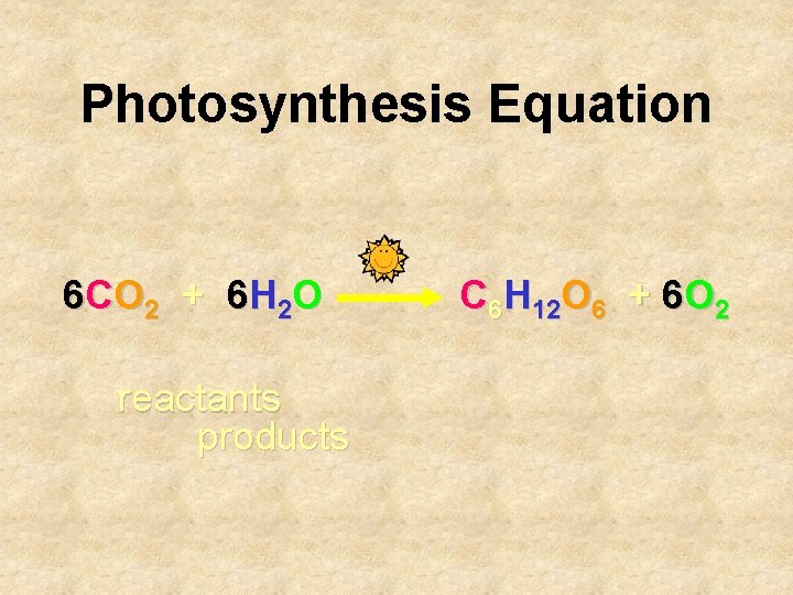 Photosynthesis Equation 6 C O 2 + 6 H 2 O reactants products C