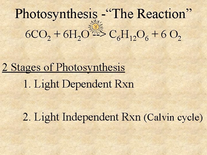 Photosynthesis -“The Reaction” 6 CO 2 + 6 H 2 O --> C 6