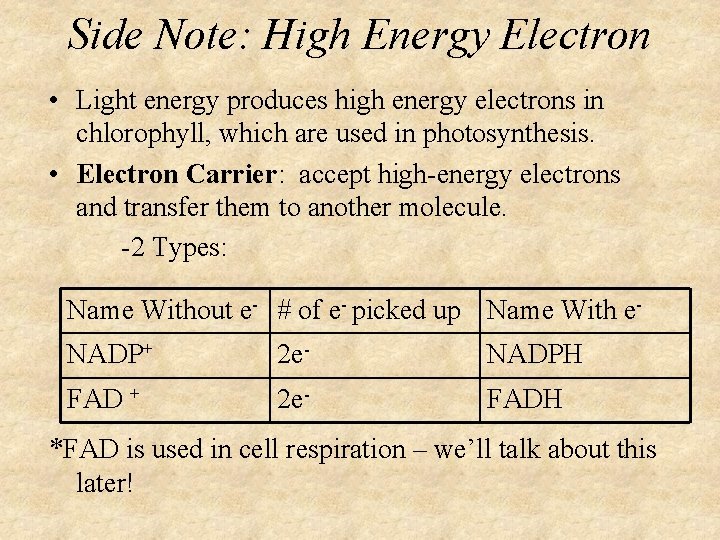 Side Note: High Energy Electron • Light energy produces high energy electrons in chlorophyll,