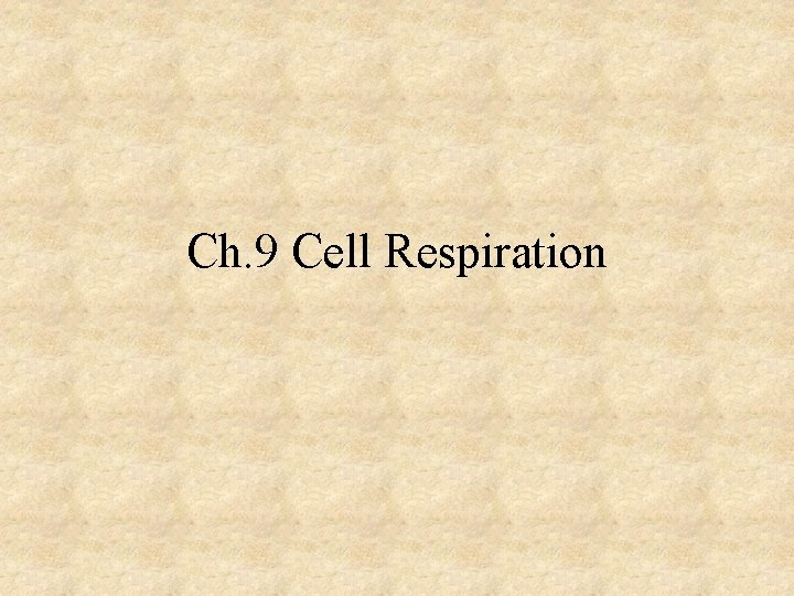 Ch. 9 Cell Respiration 