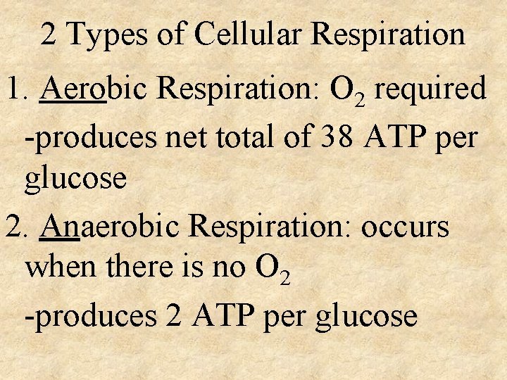 2 Types of Cellular Respiration 1. Aerobic Respiration: O 2 required -produces net total