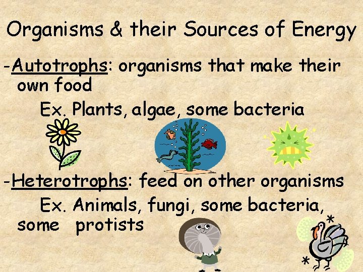 Organisms & their Sources of Energy -Autotrophs: organisms that make their own food Ex.