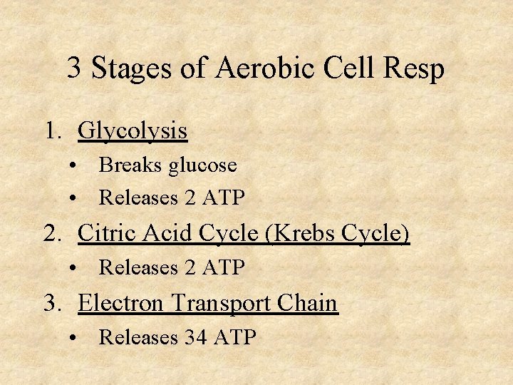 3 Stages of Aerobic Cell Resp 1. Glycolysis • Breaks glucose • Releases 2