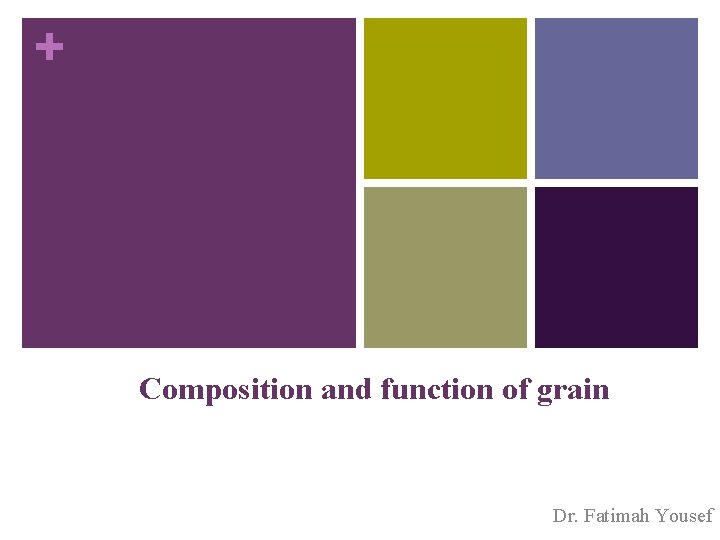 + Composition and function of grain Dr. Fatimah Yousef 