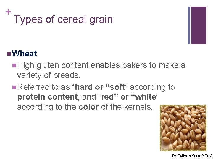 + Types of cereal grain n Wheat n High gluten content enables bakers to