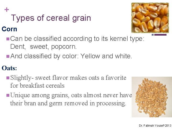 + Types of cereal grain Corn n Can be classified according to its kernel
