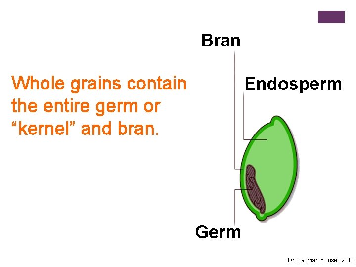 Bran Whole grains contain the entire germ or “kernel” and bran. Endosperm Germ Dr.