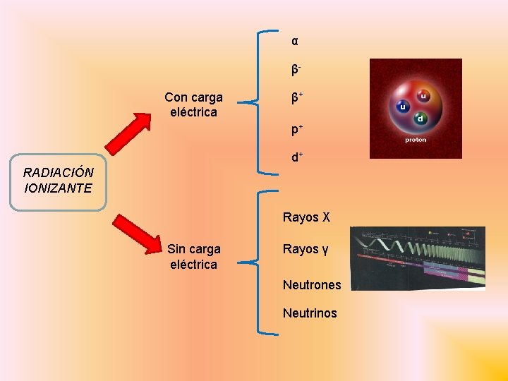 α βCon carga eléctrica β+ p+ d+ RADIACIÓN IONIZANTE Rayos X Sin carga eléctrica