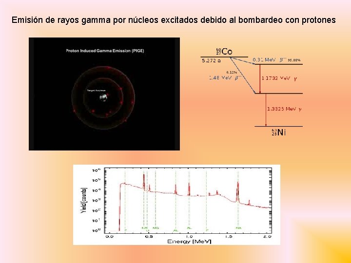 Emisión de rayos gamma por núcleos excitados debido al bombardeo con protones 