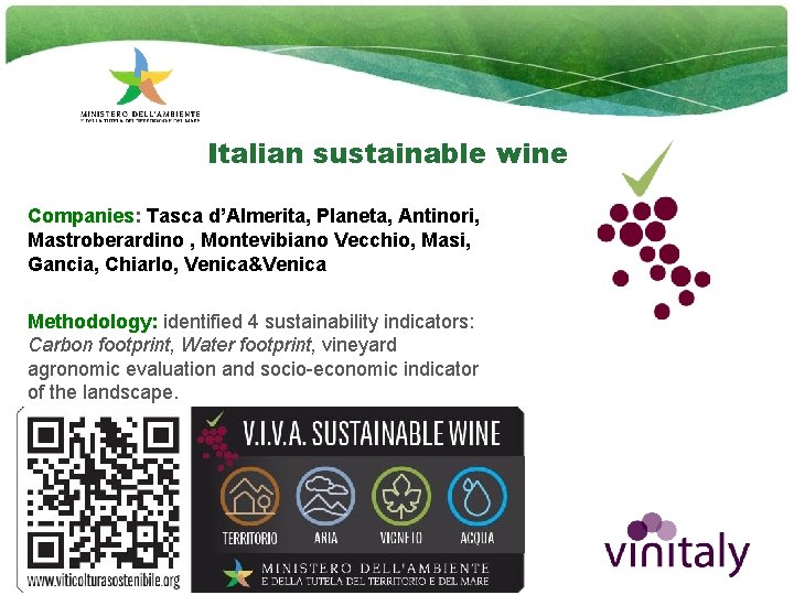 Italian sustainable wine Companies: Tasca d’Almerita, Planeta, Antinori, Mastroberardino , Montevibiano Vecchio, Masi, Gancia,