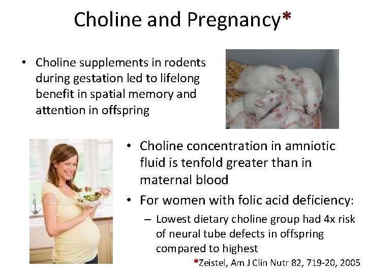 Choline and Pregnancy* • Choline supplements in rodents during gestation led to lifelong benefit