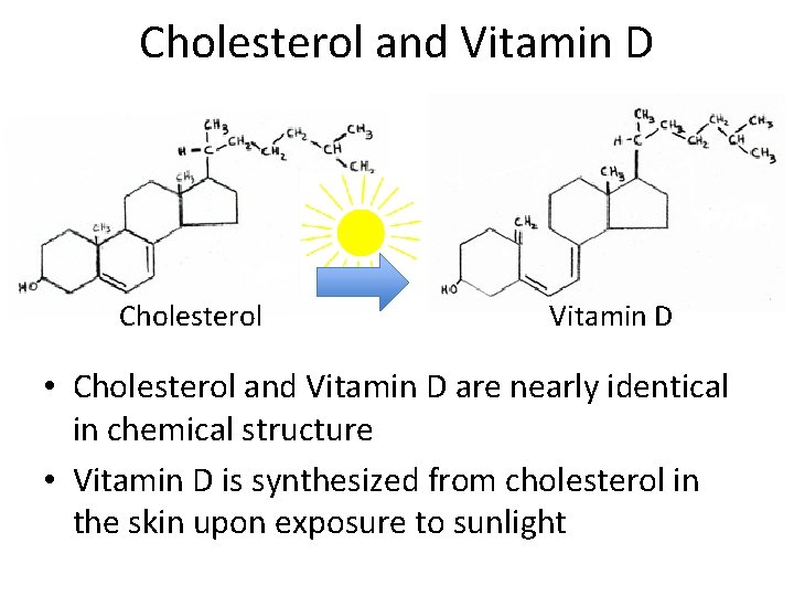 Cholesterol and Vitamin D Cholesterol Vitamin D • Cholesterol and Vitamin D are nearly