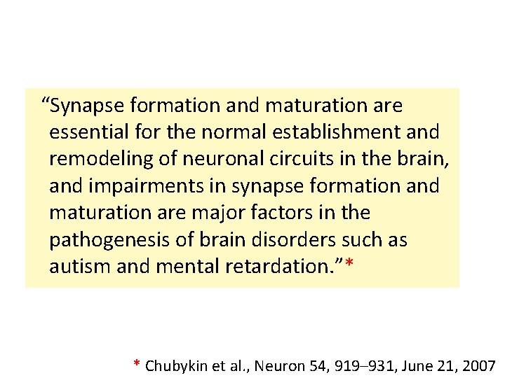 “Synapse formation and maturation are essential for the normal establishment and remodeling of neuronal