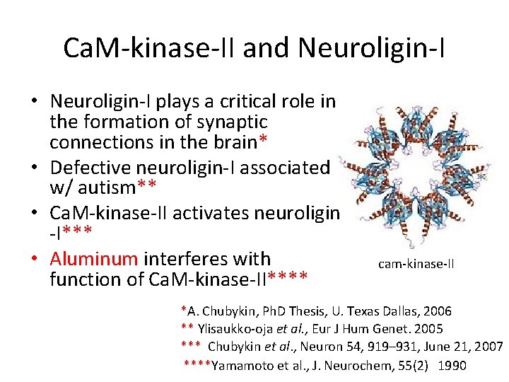 Ca. M-kinase-II and Neuroligin-I • Neuroligin-I plays a critical role in the formation of