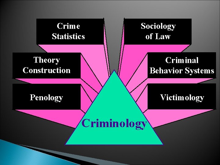 Crime Statistics Sociology of Law Theory Construction Criminal Behavior Systems Penology Victimology Criminology 