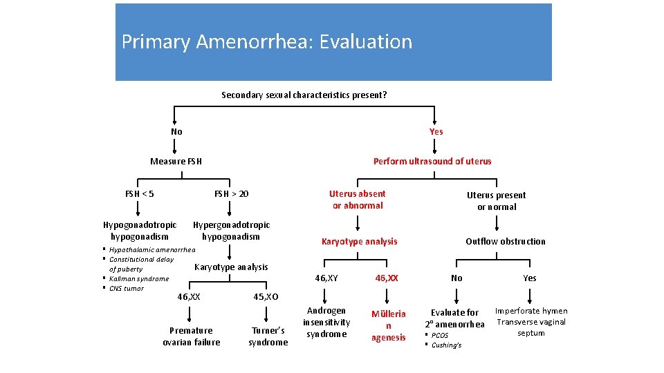 Primary Amenorrhea: Evaluation Secondary sexual characteristics present? No Yes Measure FSH Perform ultrasound of