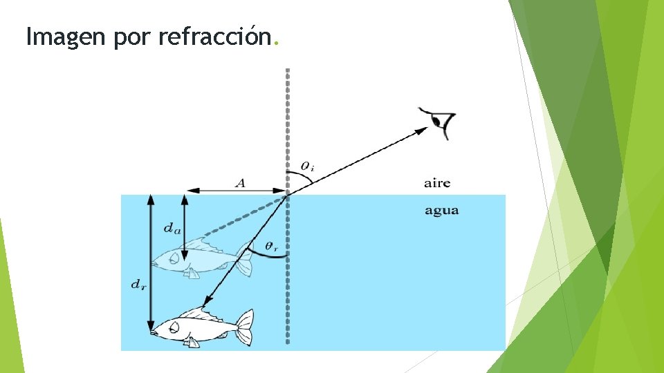 Imagen por refracción. 