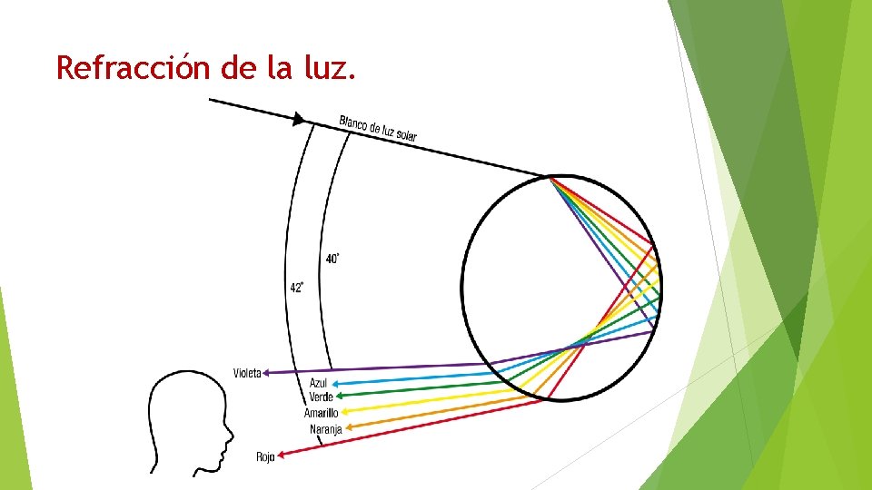 Refracción de la luz. 