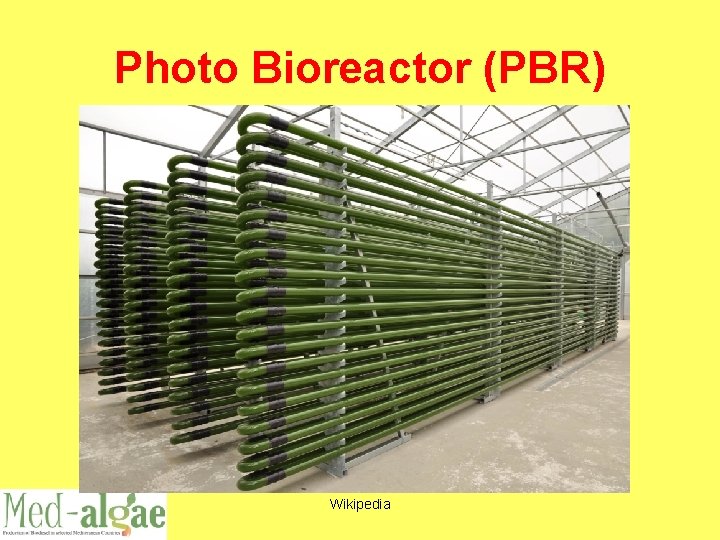 Photo Bioreactor (PBR) Wikipedia 