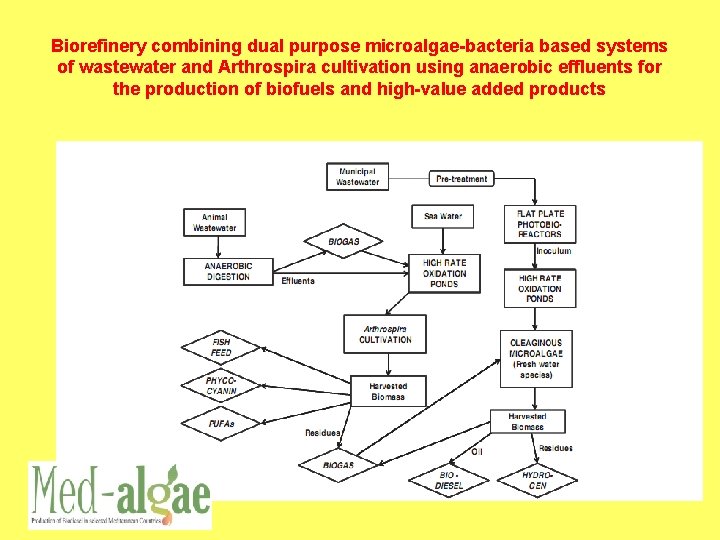 Biorefinery combining dual purpose microalgae-bacteria based systems of wastewater and Arthrospira cultivation using anaerobic