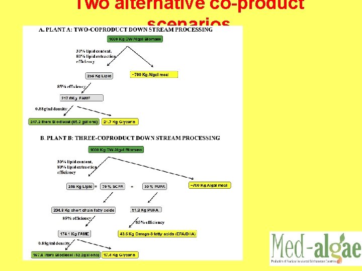 Two alternative co-product scenarios 