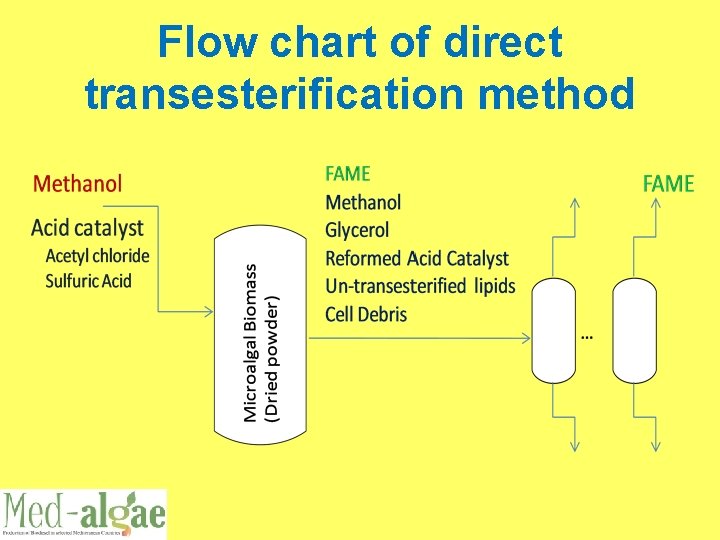 Flow chart of direct transesterification method 