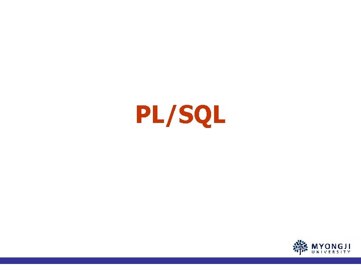 PL/SQL 