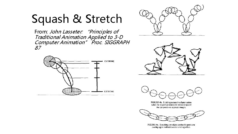 Squash & Stretch From: John Lasseter: “Principles of Traditional Animation Applied to 3 -D