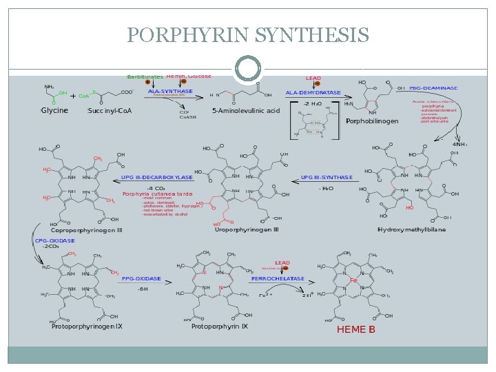 PORPHYRIN SYNTHESIS 