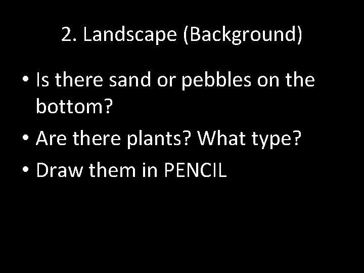 2. Landscape (Background) • Is there sand or pebbles on the bottom? • Are