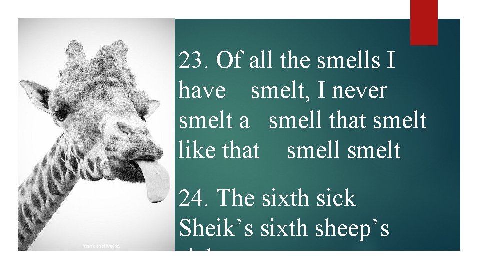 23. Of all the smells I have smelt, I never smelt a smell that