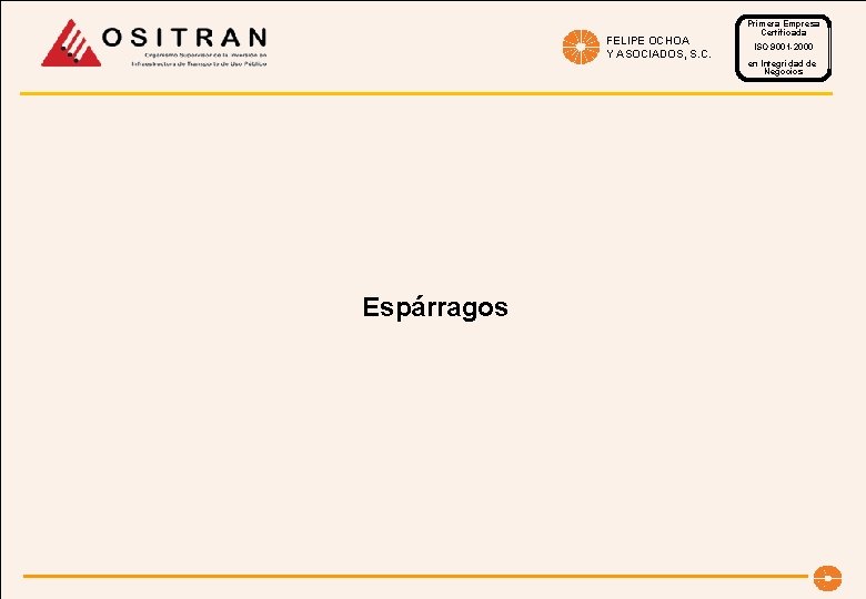 FELIPE OCHOA Y ASOCIADOS, S. C. Espárragos Primera Empresa Certificada ISO 9001 -2000 en