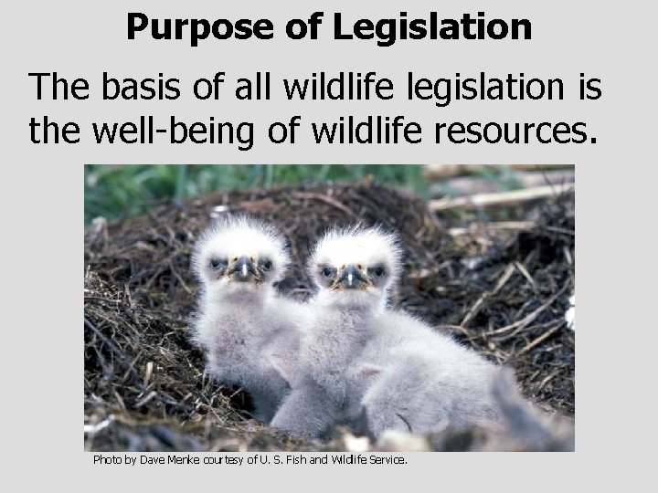 Purpose of Legislation The basis of all wildlife legislation is the well-being of wildlife