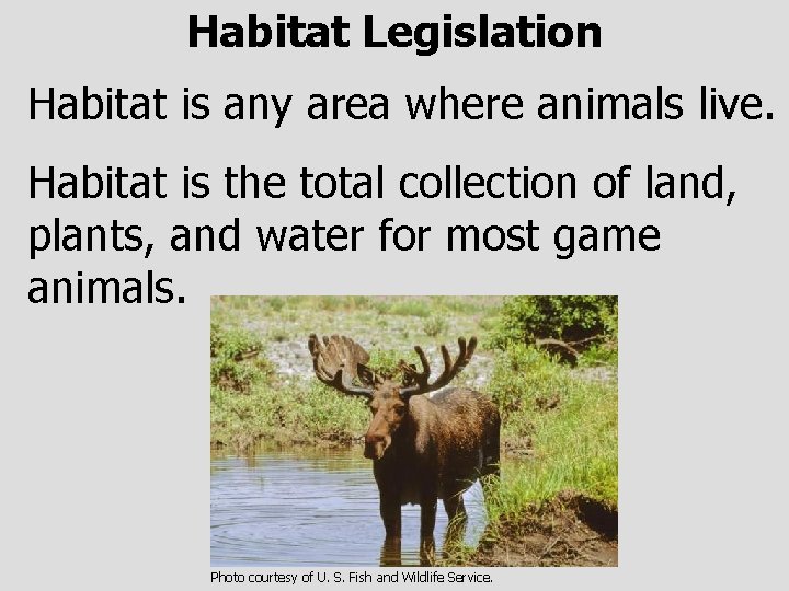 Habitat Legislation Habitat is any area where animals live. Habitat is the total collection