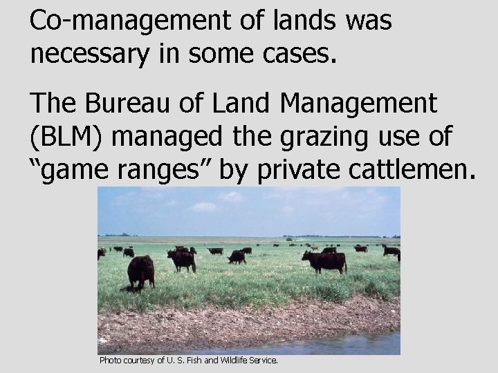 Co-management of lands was necessary in some cases. The Bureau of Land Management (BLM)