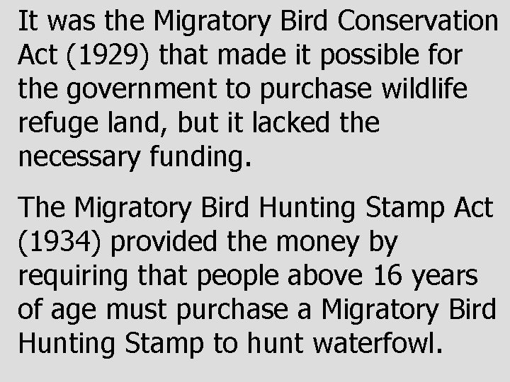 It was the Migratory Bird Conservation Act (1929) that made it possible for the