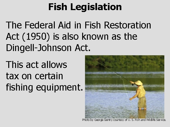 Fish Legislation The Federal Aid in Fish Restoration Act (1950) is also known as