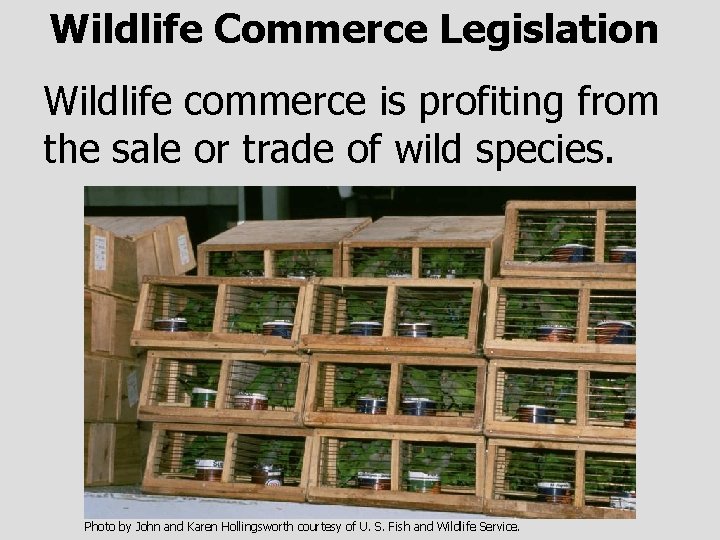 Wildlife Commerce Legislation Wildlife commerce is profiting from the sale or trade of wild