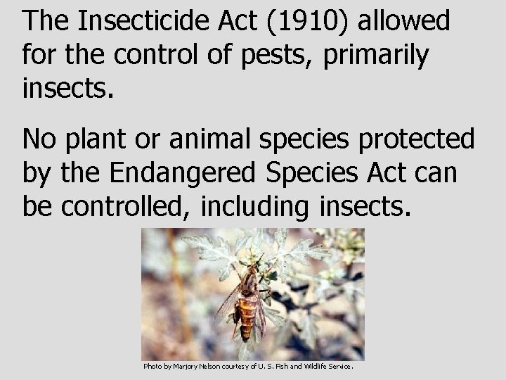 The Insecticide Act (1910) allowed for the control of pests, primarily insects. No plant