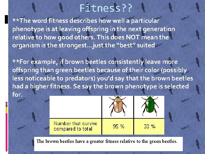 Fitness? ? **The word fitness describes how well a particular phenotype is at leaving