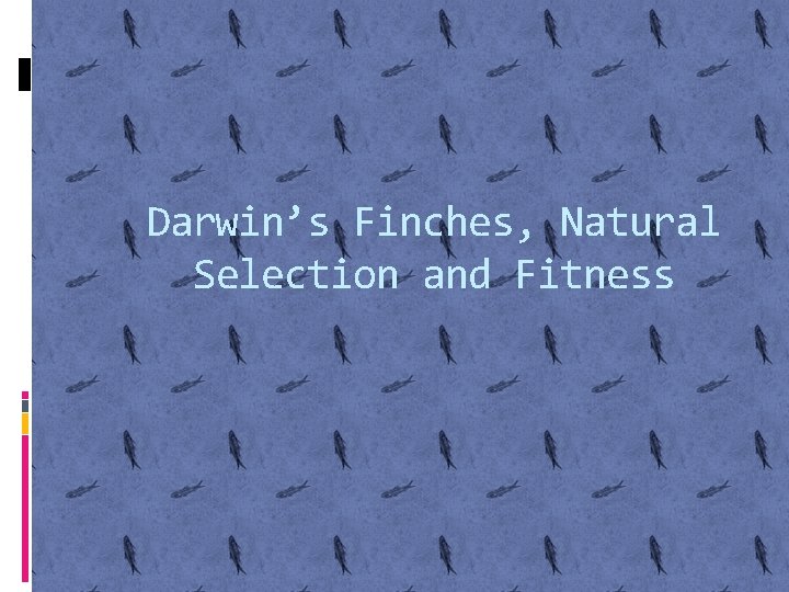 Darwin’s Finches, Natural Selection and Fitness 