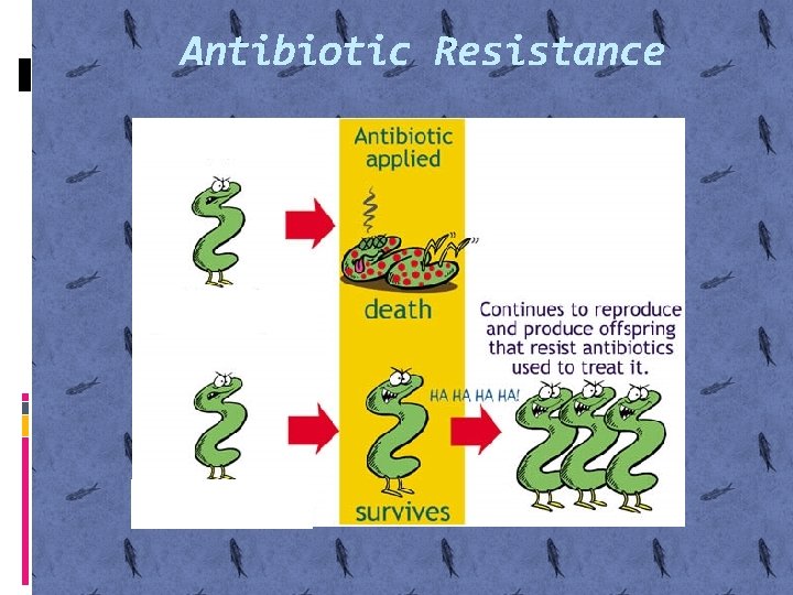 Antibiotic Resistance 