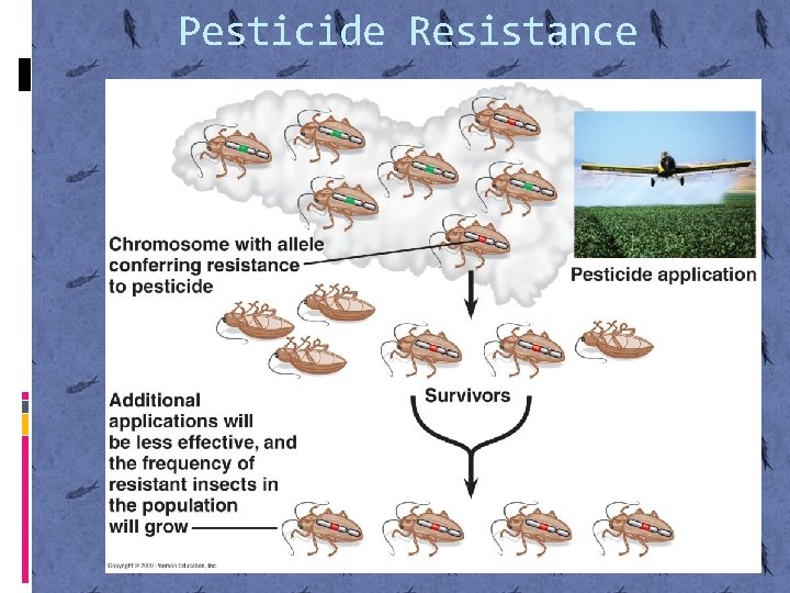 Pesticide Resistance 