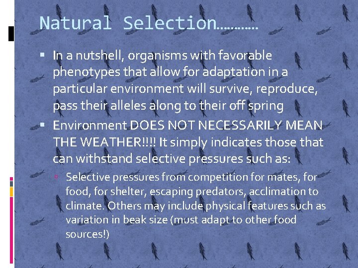 Natural Selection………… In a nutshell, organisms with favorable phenotypes that allow for adaptation in