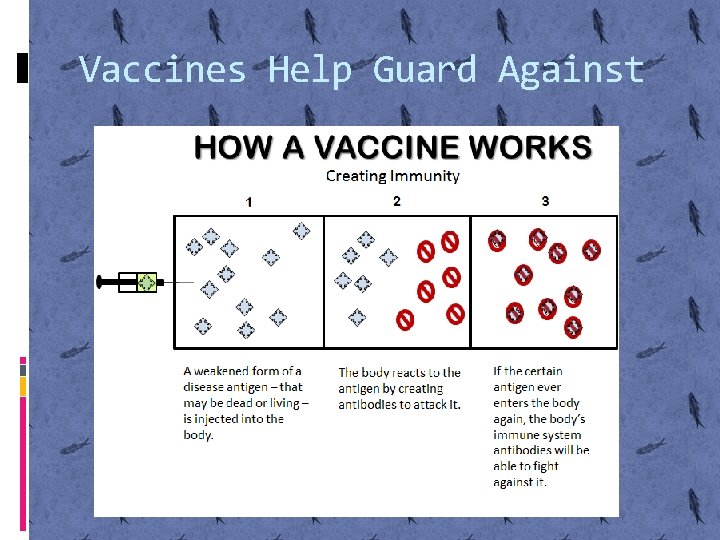 Vaccines Help Guard Against 