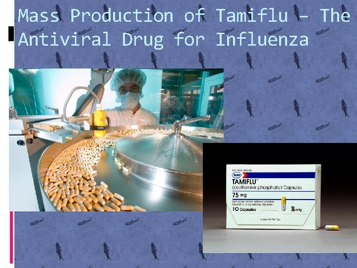 Mass Production of Tamiflu – The Antiviral Drug for Influenza 
