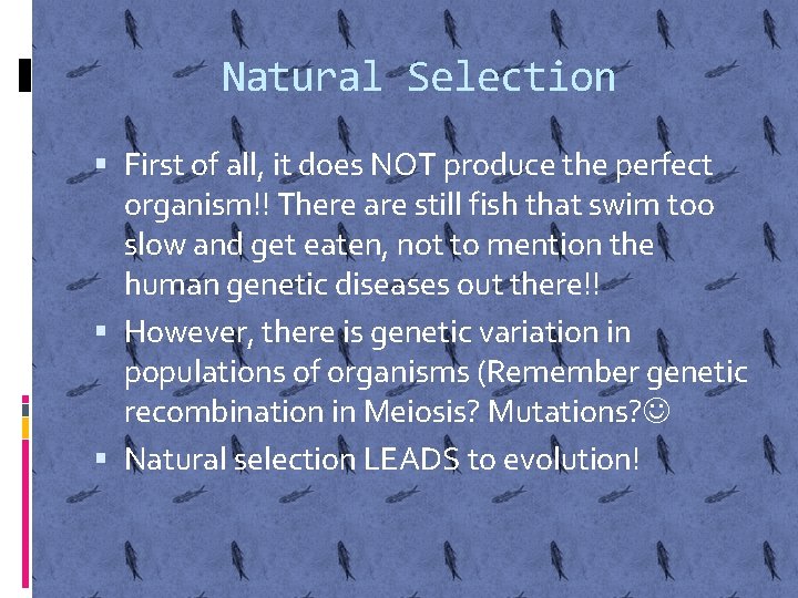 Natural Selection First of all, it does NOT produce the perfect organism!! There are