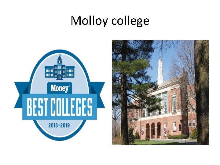 Molloy college Molloy college