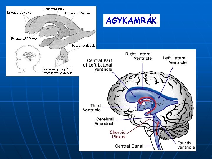 AGYKAMRÁK 