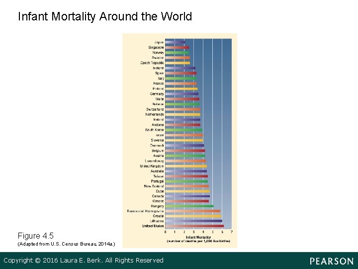 Infant Mortality Around the World Figure 4. 5 (Adapted from U. S. Census Bureau,